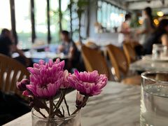 -the rug 飞毯 (朝阳公园店)