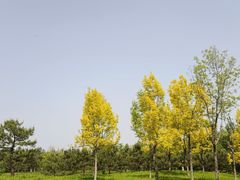 -东郊湿地公园