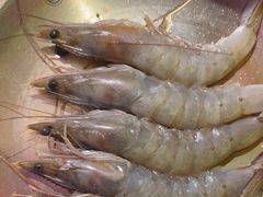 -南浦洞烤肉·新世界版(奥体店)