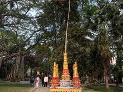 -瑞丽独树成林风景区