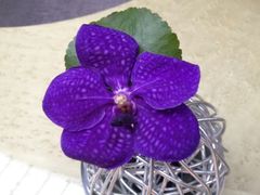 iphone_upload_pic-广州四季酒店