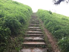 -台场海滨公园船码头