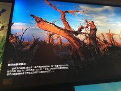 景点-嘉峪关城市博物馆