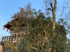 -南京老山国家森林公园