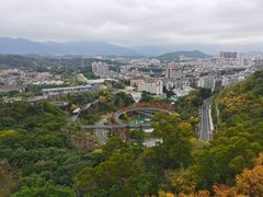 -福道