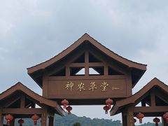 -广州神农草堂中医药博物馆