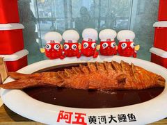 -阿五黄河大鲤鱼(英协路店)