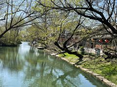 -西溪国家湿地公园