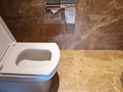 -青岛西海岸隆和福朋喜来登酒店