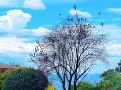 -铁山坪森林公园