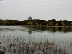 -金鸡湖桃花岛