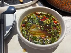 -濠七糟粕醋•海南酸汤火锅(中关村店)