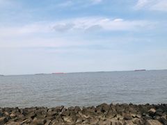 -上海滨江森林公园