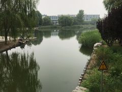 -大兴滨河森林公园