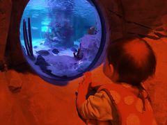 -沈阳海洋探索中心