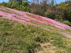 -昆嵛山石门里景区