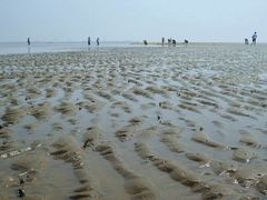 -刘家湾赶海园