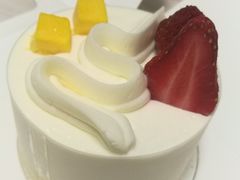 -蒲公英(五里店)