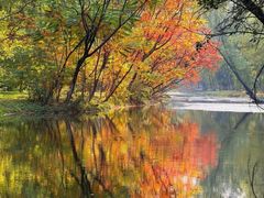 -长白岛森林公园