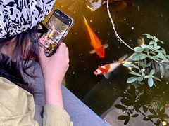 -漫笙舍Manse·咖啡·民宿