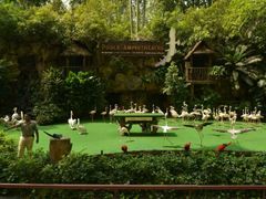 android_upload_pic-新加坡飞禽公园