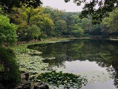 -灵谷景区