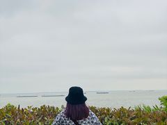 -吴淞炮台湾湿地森林公园烧烤区