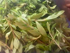 -老味道1992(武当山店)