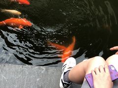 -浙江省博物馆(孤山馆区)