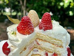 -卷心卷意·轻甜蛋糕(新光天地店)