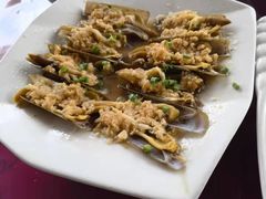 -罗源湾8号渔排