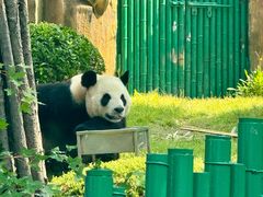 -大连森林动物园