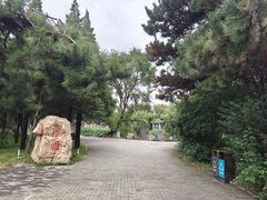 -北陵公园