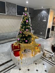 -深圳春天阳光医院·轮廓抗衰中心