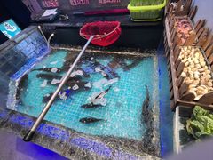 -山河屯铁锅炖鲜鹅·东北菜(开发区一店)