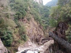 -龙湾潭国家森林公园