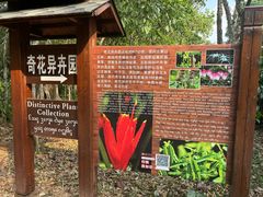 -中国科学院西双版纳热带植物园