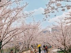 -杭州城北体育公园