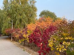 -永定河休闲森林公园