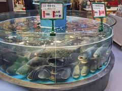 -魏铭鱼头捞饭(晋阳路店)