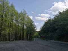 -山王坪喀斯特国家生态公园