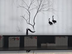 -BLACKSWAN黑天鹅(环球店)
