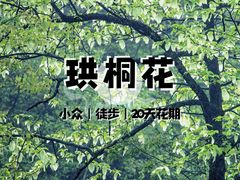-龙苍沟森林公园
