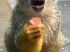 -泉城欧乐堡海洋极地世界