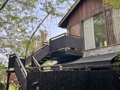 -西湖风景区-江洋畈生态公园