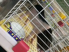 -宠爱我(南山店)