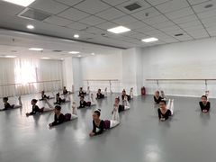 -西安小天鹅艺术团(金花路校区)