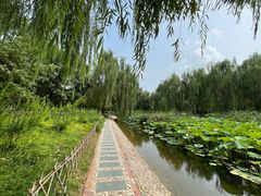 -丰台科技园生态主题公园