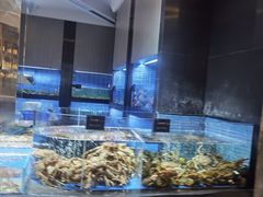 -徐记海鲜·宴会(大唐西市|丰庆店)