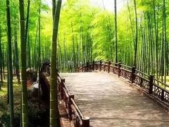 -天下银坑